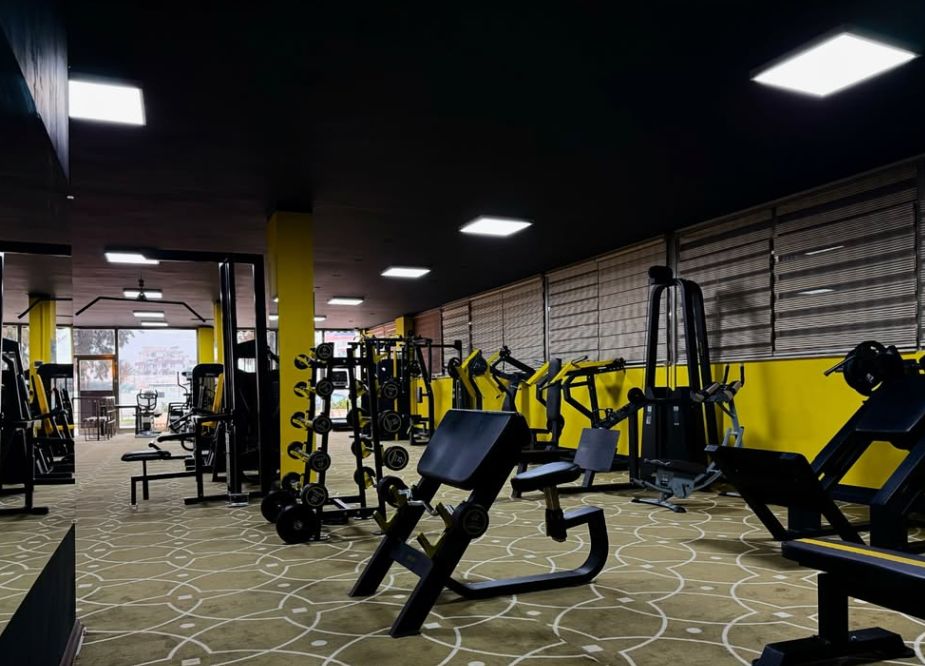 Scott bench, dambıl rafı ve cam önü